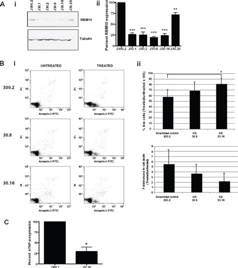 RBM10 Modulates Apoptosis and Influences TNF